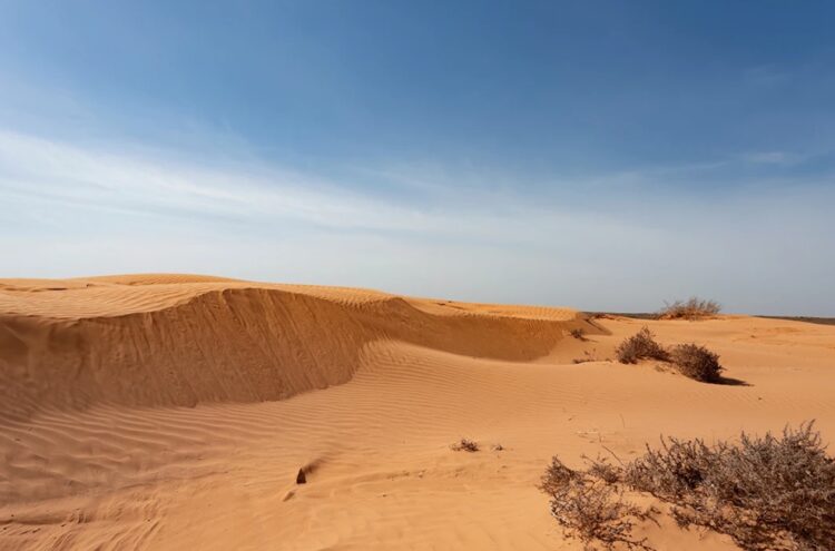 Рын-пески — подвижные барханы Астрахани. Рын-пески в России. Источник изображения: experience.tripster.ru. Фото.