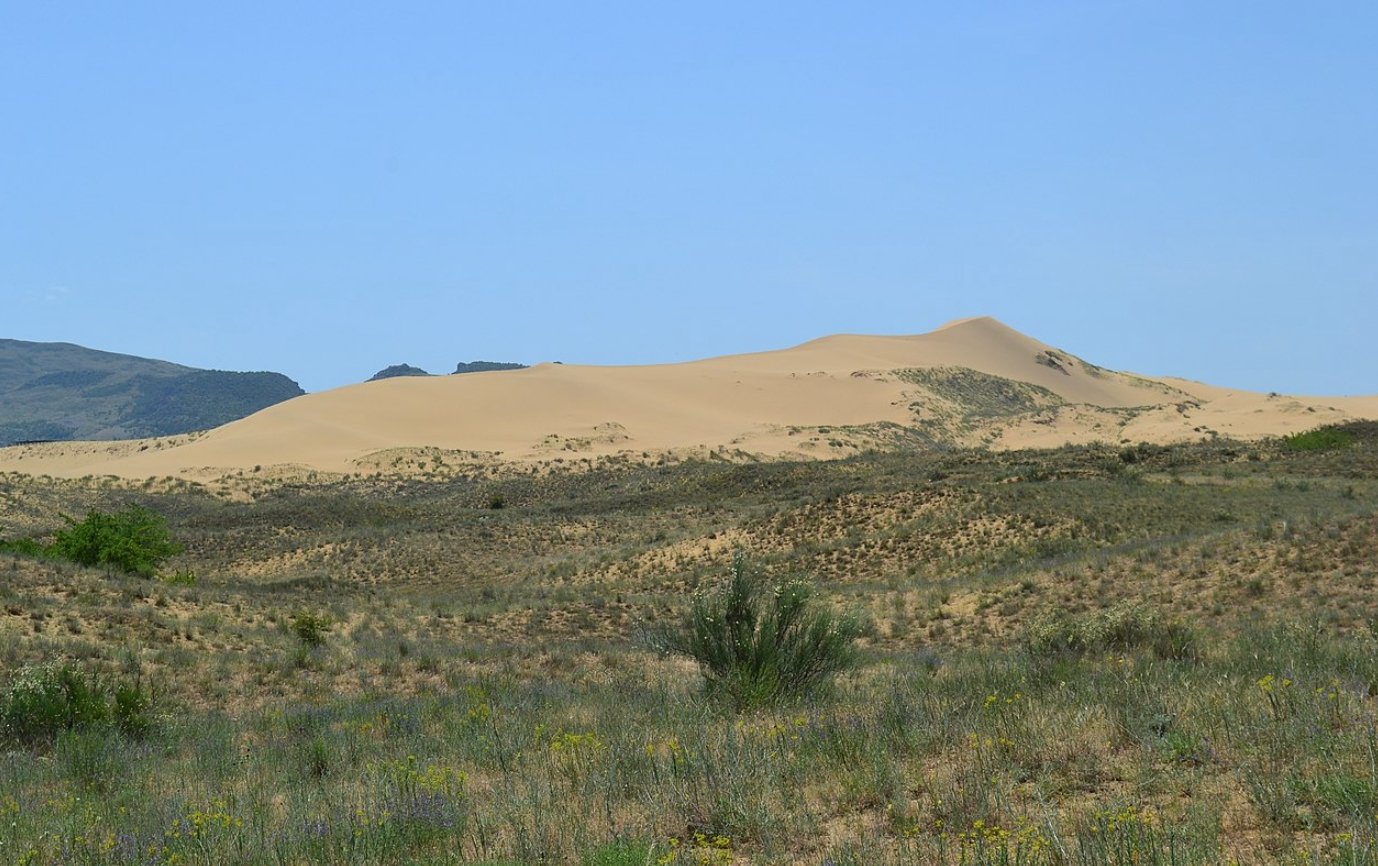 Песчаный бархан Сарыкум. Источник изображения: wikimedia.org. Фото.