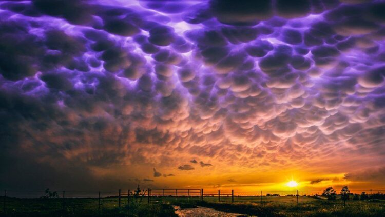 Вымеобразные облака: что они означают и опасны ли они. Вымеобразные облака или мамматусы. Источник изображения: kartin.papik.pro. Фото.