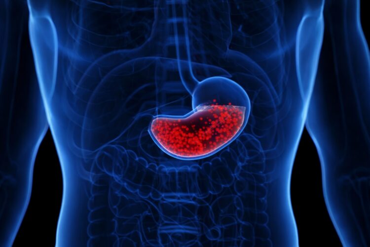 Почему желудочная кислота не разъедает наш желудок? Желудок человека отлично защищен от вырабатываемой им кислоты. Почему желудочная кислота не разъедает наш желудок? Желудок человека отлично защищен от вырабатываемой им кислоты. Фото.