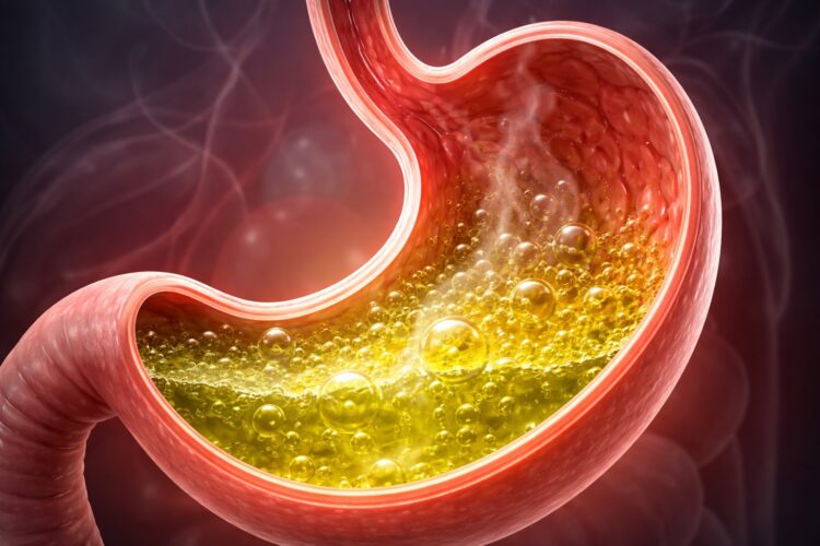 Как развивается язва желудка. Иногда желудочная кислота все же приводит к образованию язвы. Как развивается язва желудка. Иногда желудочная кислота все же приводит к образованию язвы. Фото.