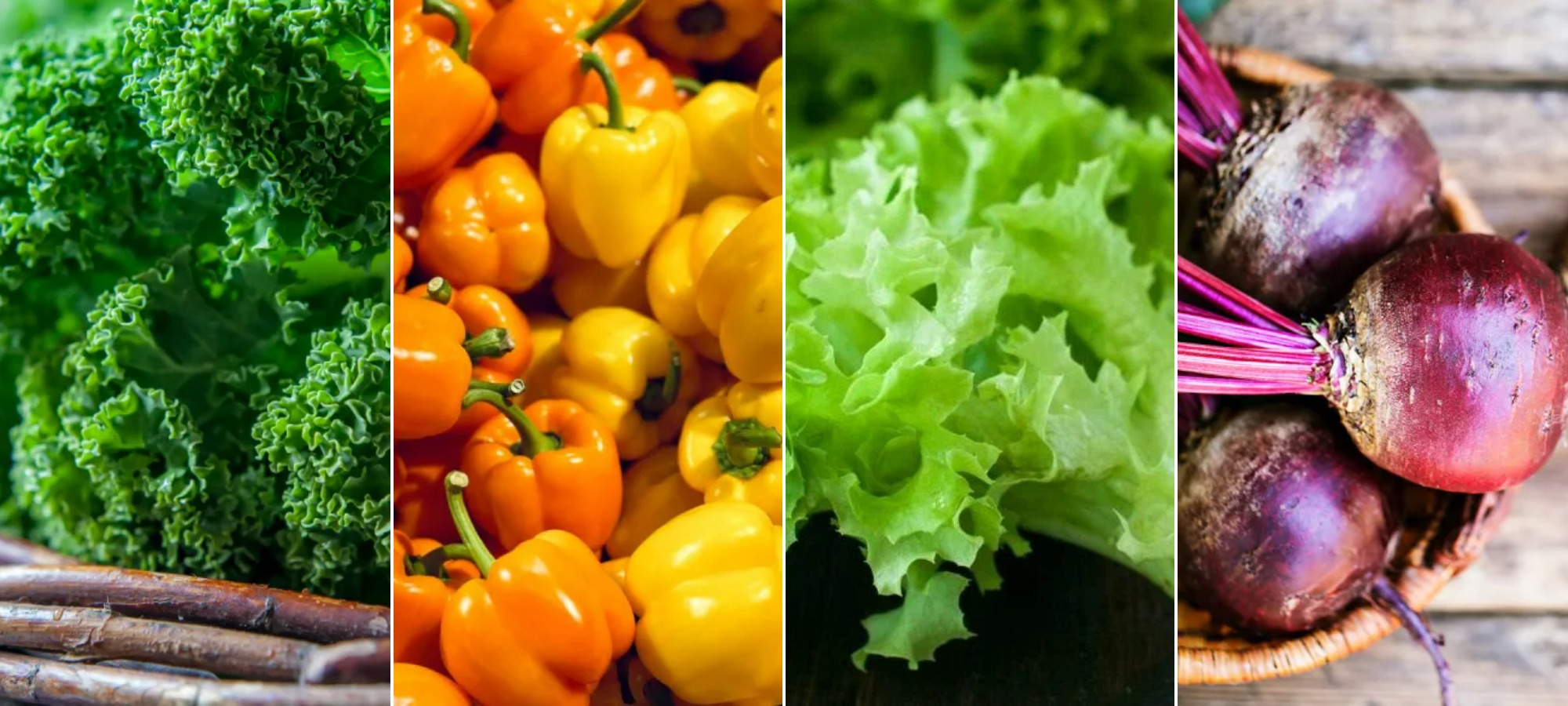 Which vegetables help eliminate belly fat and visceral fat. Kale, bell peppers, lettuce, and beets. Photo.