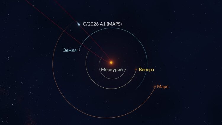 Когда и где будет видно комету C/2026 A1: основные даты. Орбита кометы C/2026 A1 (MAPS). Источник изображения: starwalk.space. Фото.