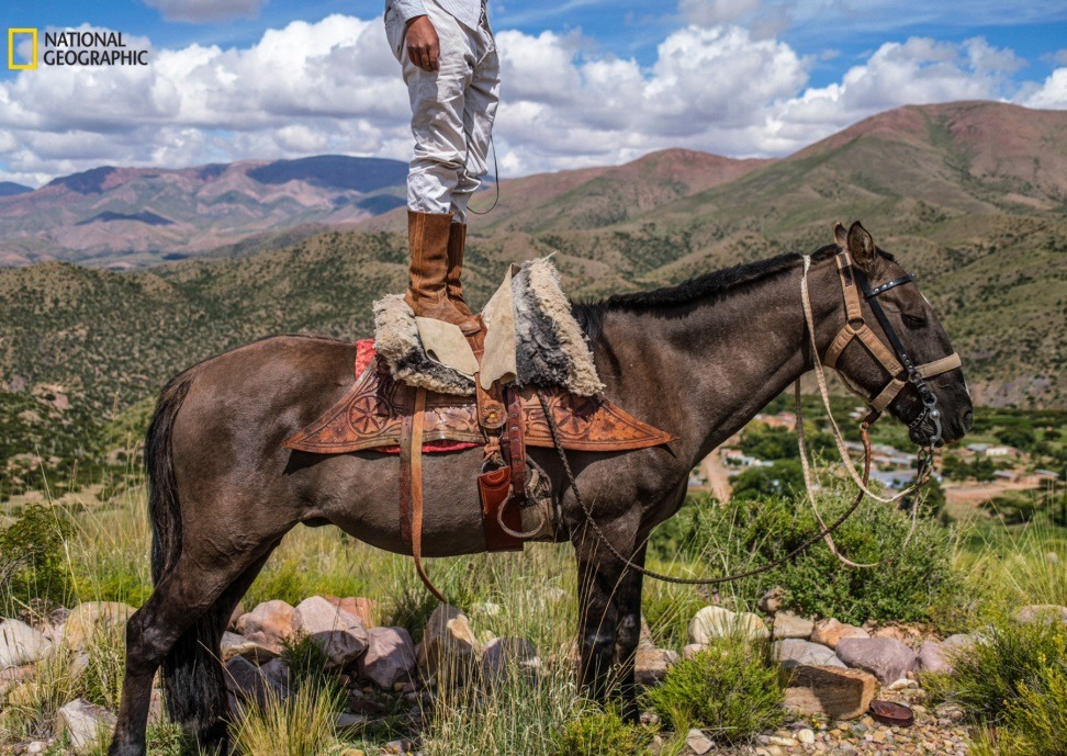 Лучшие фото за 2025 год от National Geographic. Фото: Наталис Фавр. Источник изображения: nationalgeographic.com. Фото.