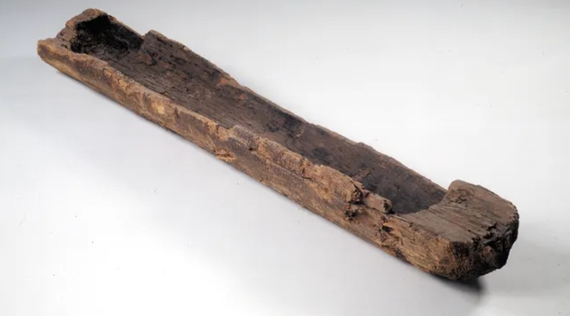 Самая древняя лодка в мире. То самое каноэ из Пессе. Источник изображения: Live Science. Фото.