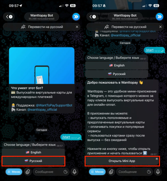 Оформить зарубежную карту. Выберите язык и перейдите в мини-приложение. Оформить зарубежную карту. Выберите язык и перейдите в мини-приложение. Фото.