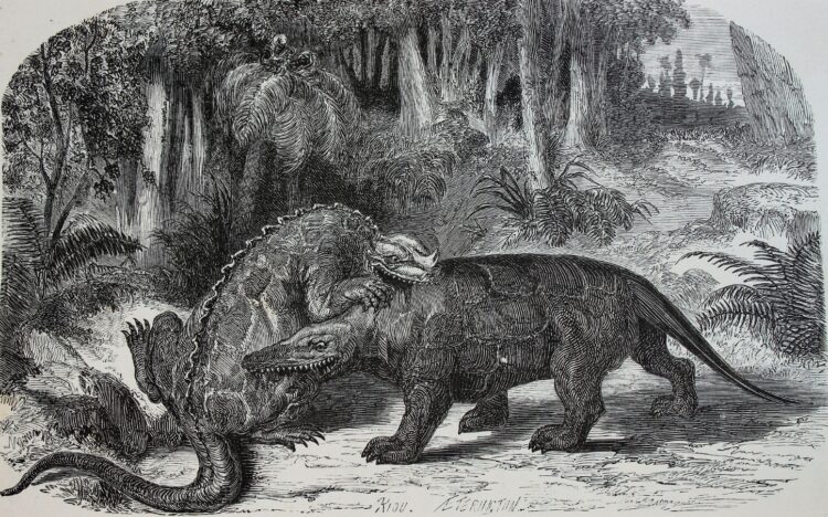 Первые кости динозавров. Драка игуанодона и мегалозавром. Источник изображения: wikimedia.org. Фото.