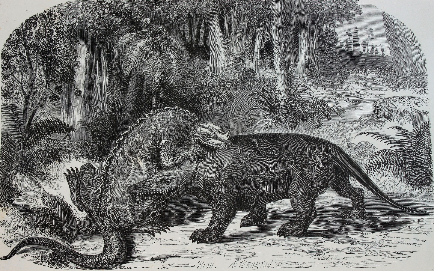 Драка игуанодона и мегалозавром. Источник изображения: wikimedia.org. Фото.