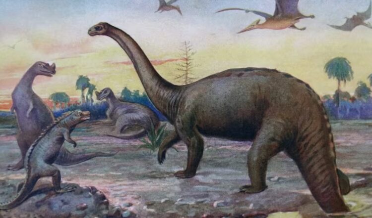 Кто придумал слово «динозавр». Динозавры это название для группы древних животных. Источник изображения: history.com. Фото.