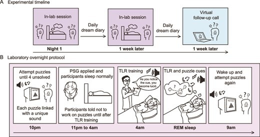 Как работает осознанный сон и связь в фазе REM. График проведения эксперимента. (A) Общий график проведения эксперимента для большинства участников. (B) Каждая сессия в лаборатории проходила по одному и тому же сценарию, за исключением использования разных головоломок. Осознанные сновидения вызывались с помощью целенаправленной реактивации осознанности (TLR). Источник изображения: academic.oup.com. Фото.