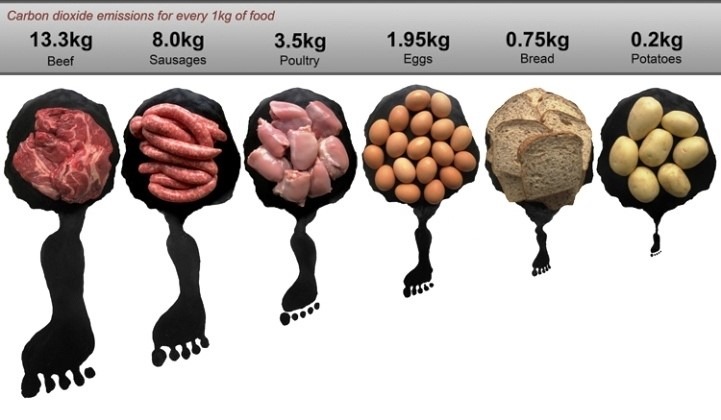 Углеродный след продуктов питания: какие продукты дают больше всего выбросов CO₂. Углеродный след продуктов питания. Источник изображения: winstein.org. Фото.