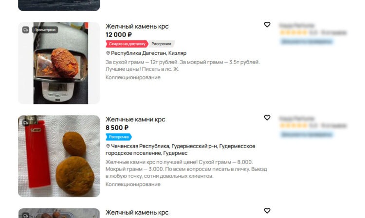 Кто и зачем покупает камни из желчного пузыря. Объявления о продаже желчного камля крупного рогатого скота. Источник изображения: avito.ru. Фото.