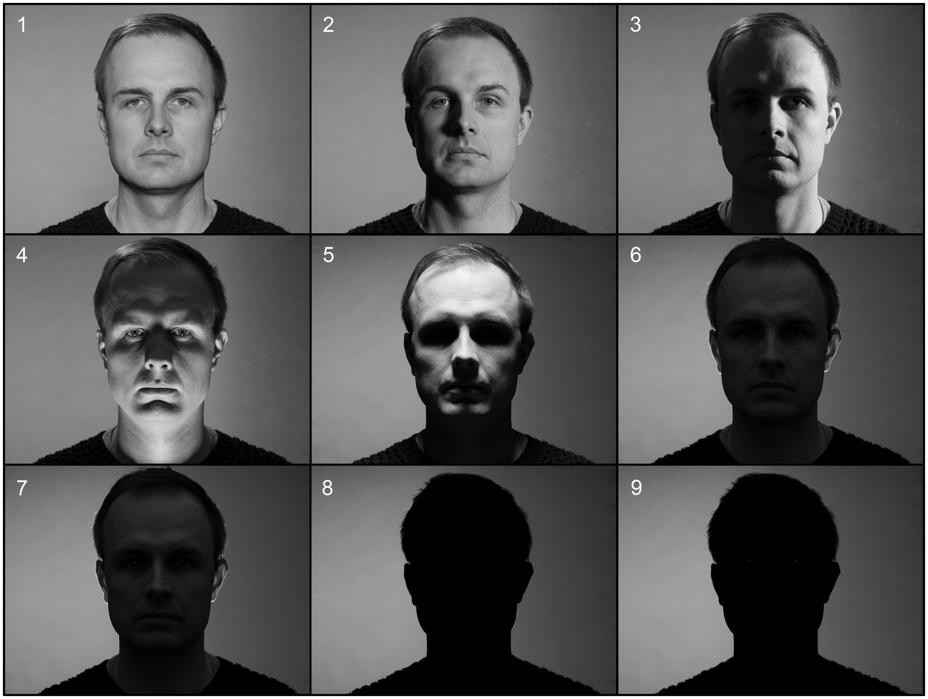 Как мозг распознаёт лица и почему это плохо работает в сумерках. Посмотрите как меняются лица при разном освещении, и даже силуэт кажется другим. Источник изображения: frontiersin.org. Фото.