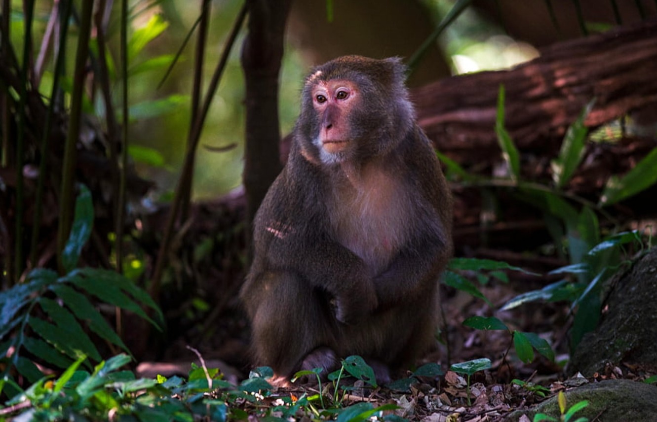Чем опасен хронический пересып для здоровья. Циркадные ритмы штука упрямая. Сбить их легко, а вот восстановить — то еще испытание. Источник изображения: hippopx.com. Фото.