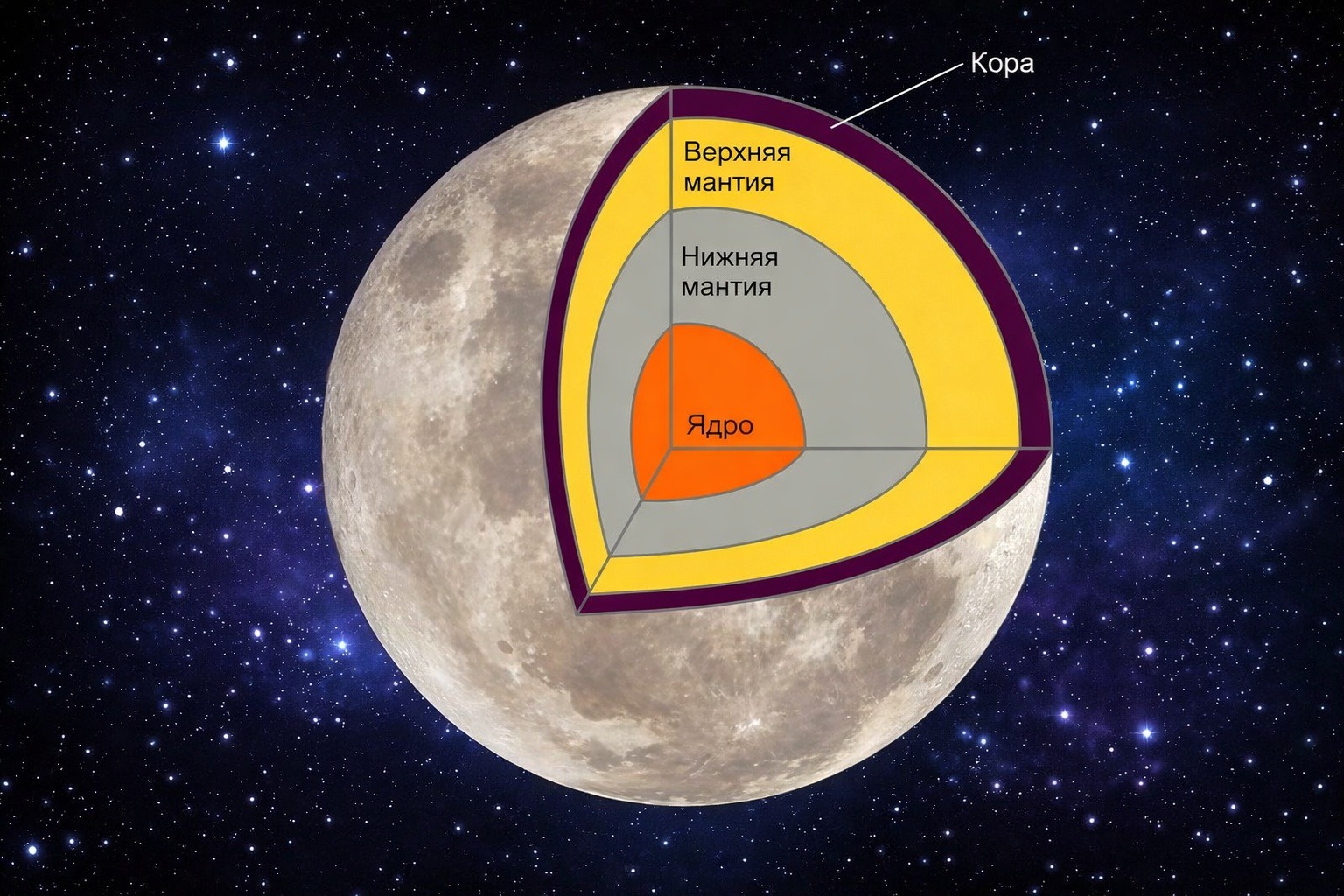 Did the Moon Have a Magnetic Field? Internal structure of the Moon. Photo.