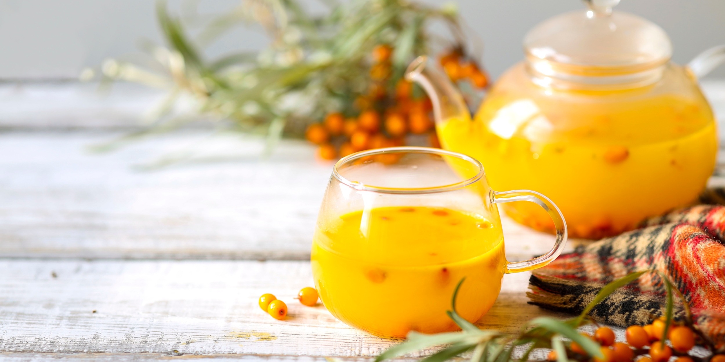 Облепиховый чай: польза и вред, кому можно и кому нельзя