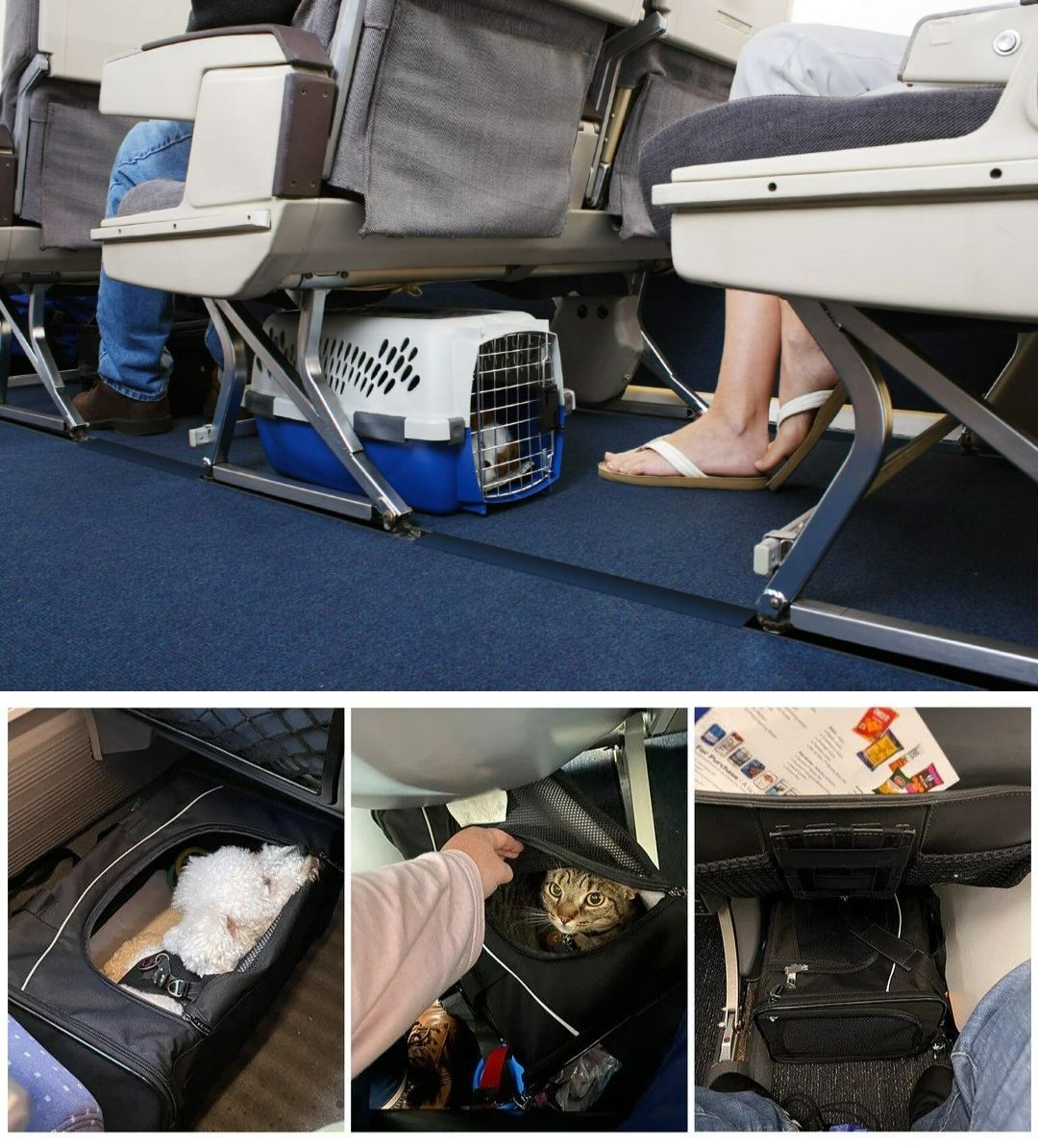 Аэрофлот: перевозка кошек в салоне и в багажном отсеке — правила, вес и цена. Перевозка животных в салоне (под сиденьем). Источники изображений: th.by, petsfit.com. Фото.