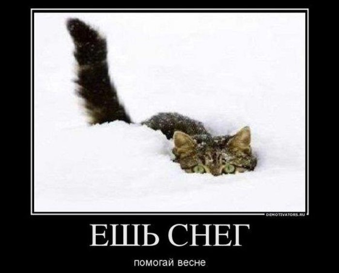 Что такое сезонное запаздывание и почему температура отстаёт от длины дня. Холоднейший период обычно наступает после зимнего солнцестояния, потому что система Земля–атмосфера ещё какое-то время теряет больше энергии, чем получает. Источник изображения: e1.ru. Фото.