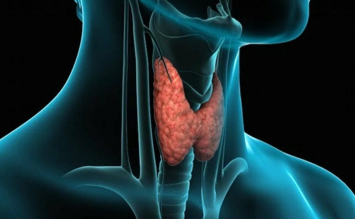 Один из ранних признаков проблем с щитовидкой — ледяные ступни ночью в постели. Источник изображения: yar.mk.ru. Фото.