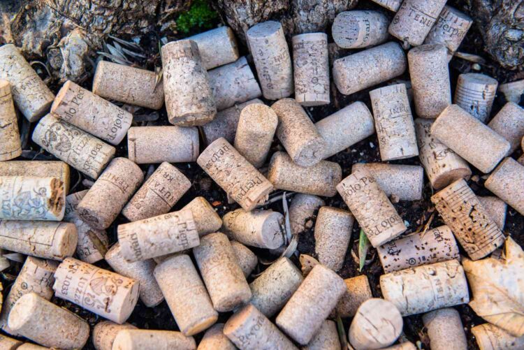 Зачем собирать винные пробки: неожиданная польза для сада и дачи. Не выбрасывайте винные пробки: вот как они спасают сад от вредителей. Источник изображения: southernliving.com. Фото.