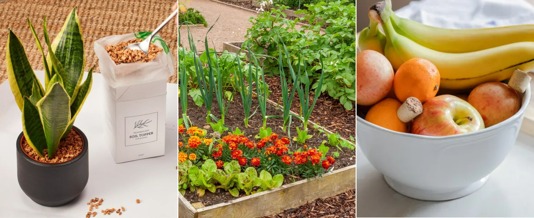 How Wine Corks Help Against Slugs, Ants, and Woodlice in the Garden. Cork usage is multifunctional: from damp spots and slug protection to decor and fighting fruit flies. Image sources: arboretum.ie, gardeningetc.com, thekitchn.com. Photo.