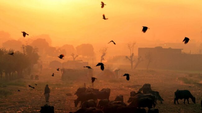 Правда ли это признаки конца света: 4 популярных «знамения». Фото.