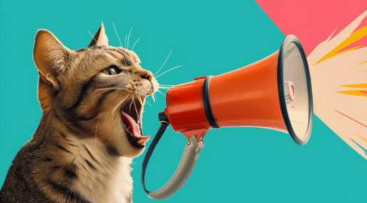 Почему кошка вдруг начала громко мяукать: 10 тревожных и безобидных причин. Фото.