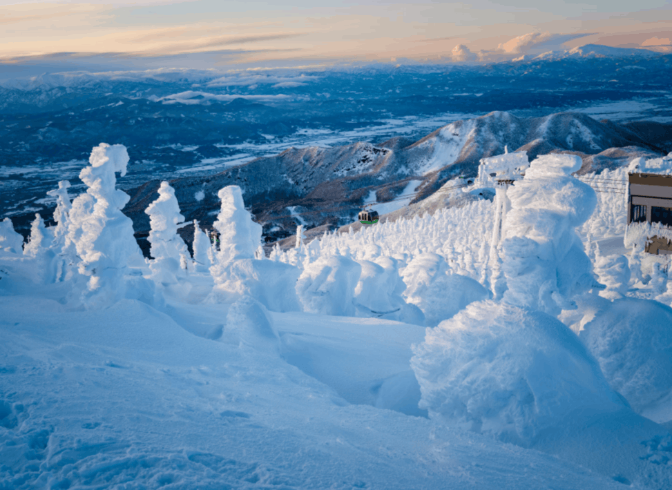 «Снежные монстры» на горнолыжном курорте Зао Онсэн в Японии — это явление, которое возникает на вершине горы Зао, где из-за ледяных ветров ели Мариес так сильно пропитываются влагой, что начинают клониться к земле. Источник изображения: nationalgeographic.com. Фото.