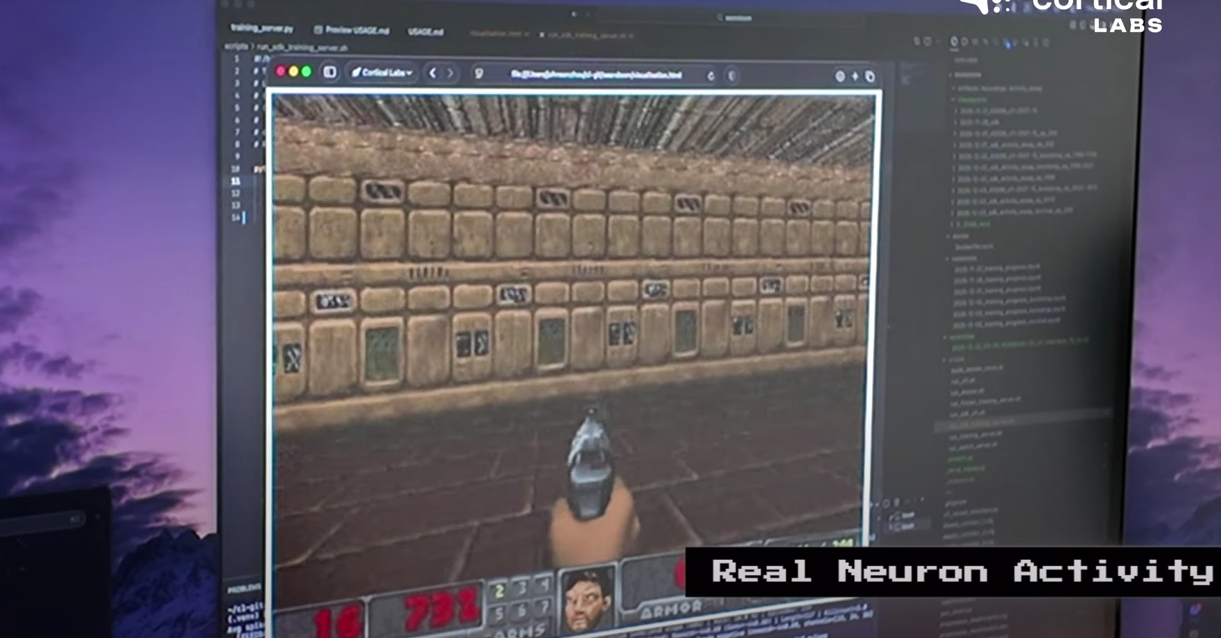 Как живые нейроны научились играть в Doom. Клетки мозга управляли упрощенной версией Doom. Фото.