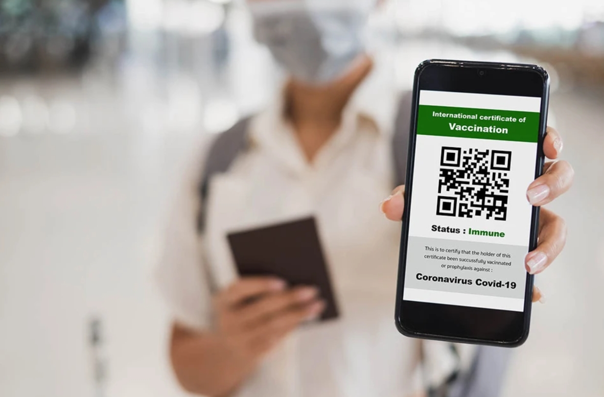 Как появились COVID-паспорта. Ковид-паспорт в Европе выглядел примерно так. Источник изображения: dailysceptic.org. Фото.