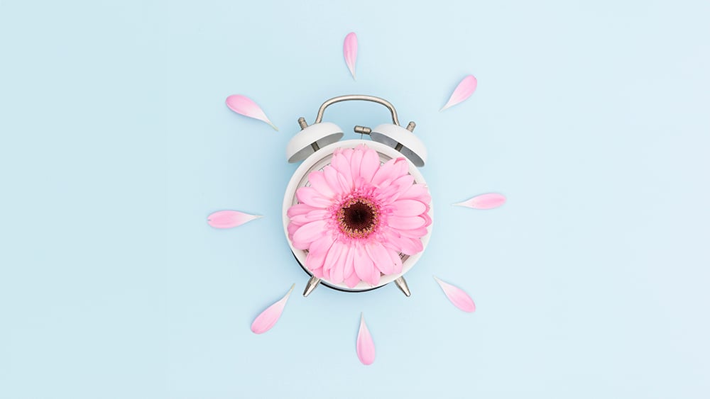 Чтобы размножение прошло успешно, цветки должны распуститься ровно тогда, когда проснутся опылители. Фото.