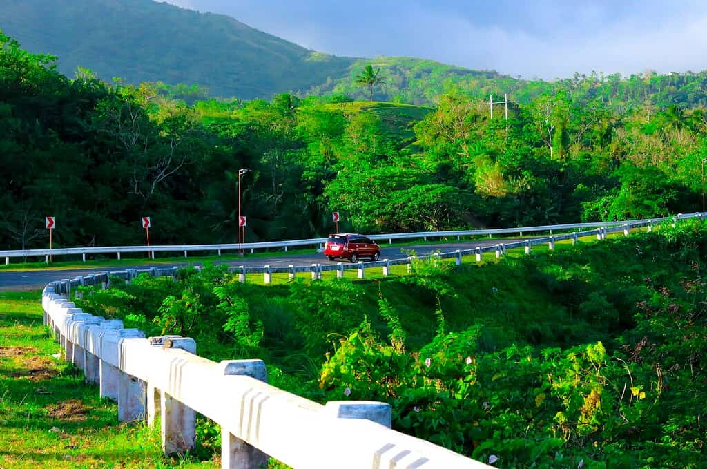 Типичная автомагистраль в Европе с травяными обочинами