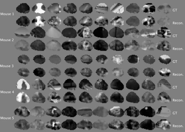 Чтение мыслей стало реальностью: как ученые расшифровали мозг. Фото.