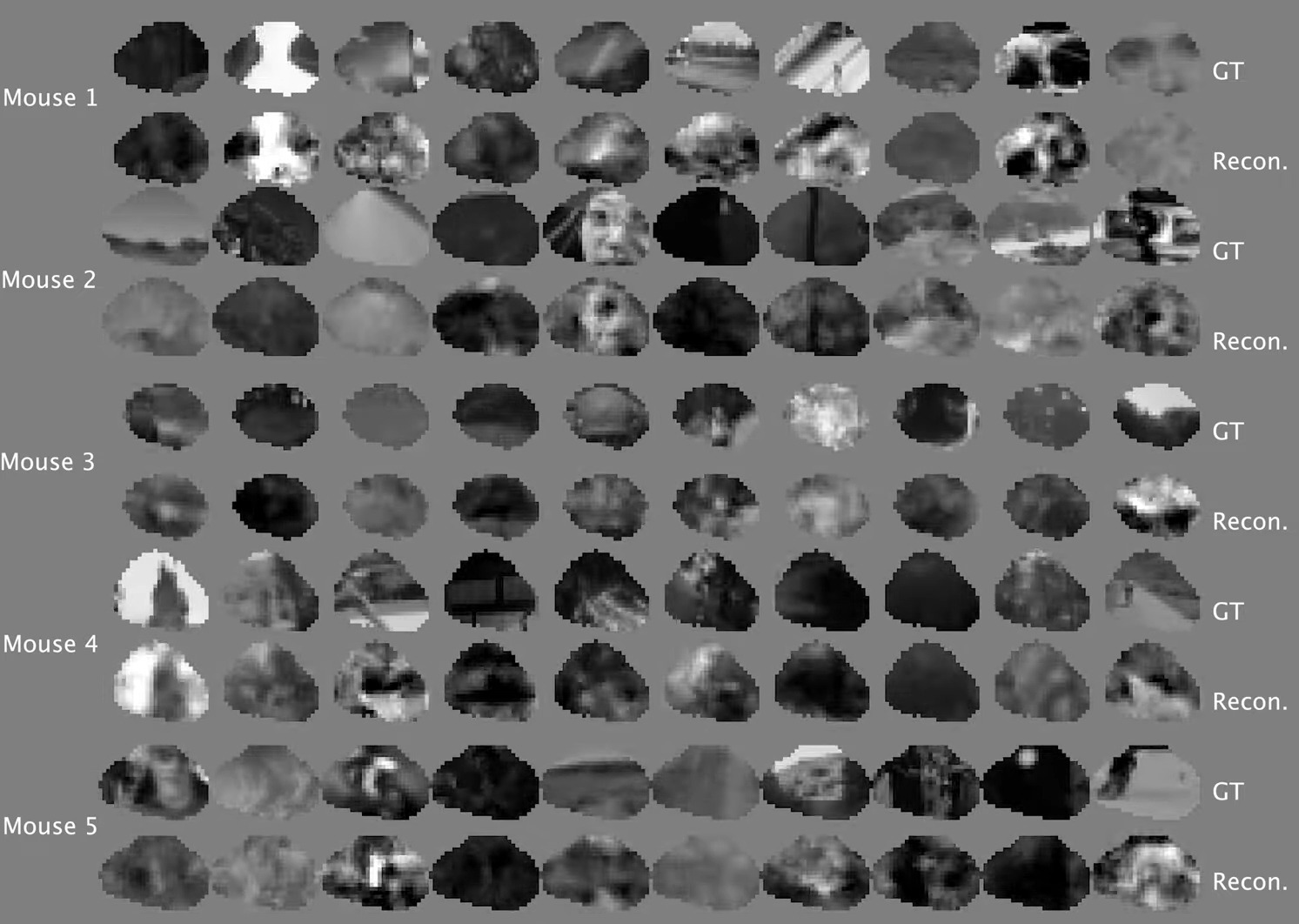 Чтение мыслей стало реальностью: как ученые расшифровали мозг