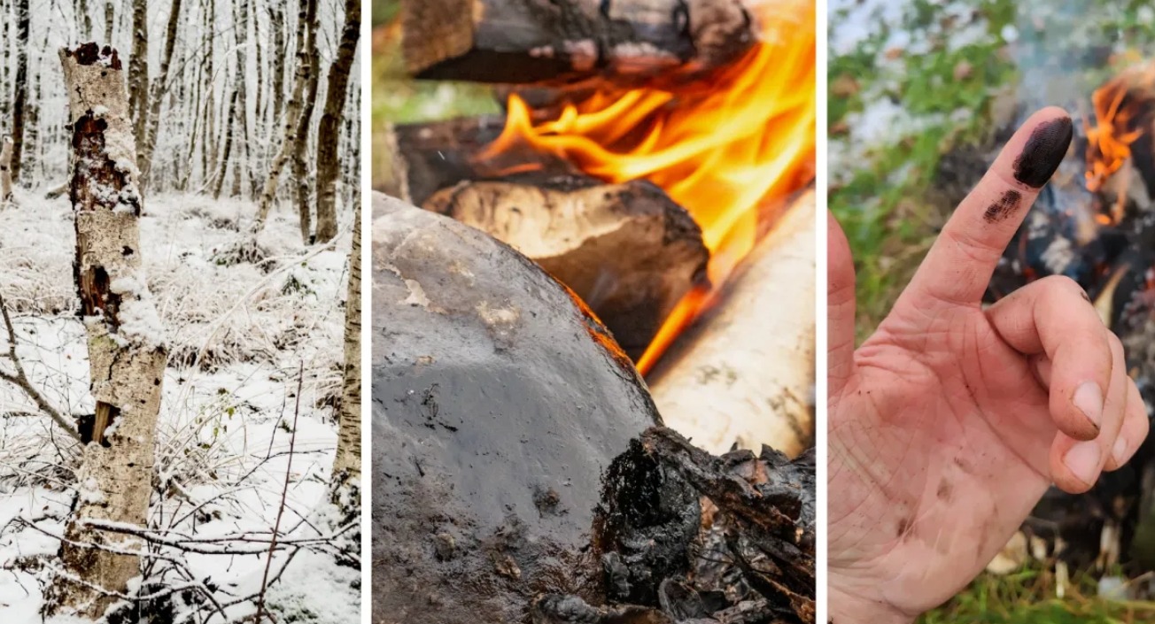 Как ученые воспроизвели древний рецепт. Производство березового дегтя — процесс грязный, ароматный и очень древний. Источник изображения: popsci.com. Фото.