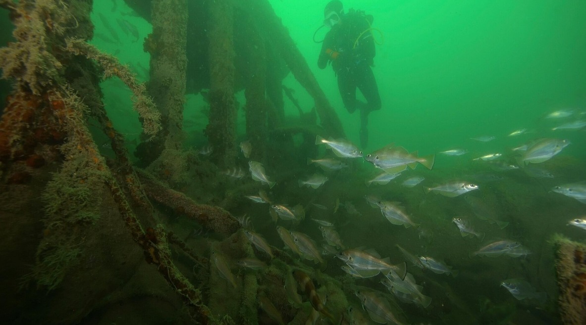 Археологи нашли новое кладбище древних кораблей: что там есть