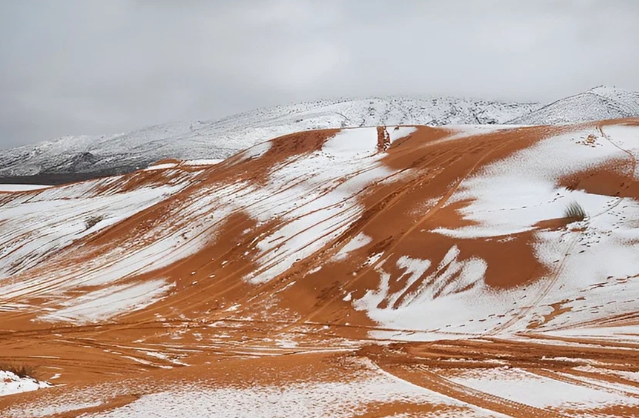Почему снег в Сахаре тает быстро. Снег в Сахаре тает быстро, поэтому люди не успевают ему порадоваться. Источник изображения: dailymail.co.uk. Фото.