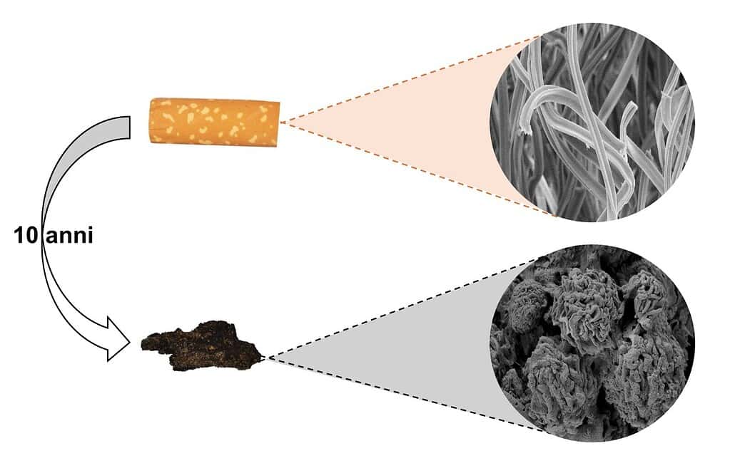 Почему сигареты не разлагаются. Волокна ацетата целлюлозы из сигаретного фильтра под микроскопом — плотный пучок пластиковых нитей. Фото.