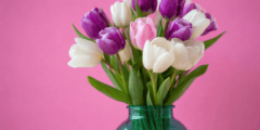Почему тюльпаны быстро вянут в вазе: секрет, о котором знают флористы. Фото.
