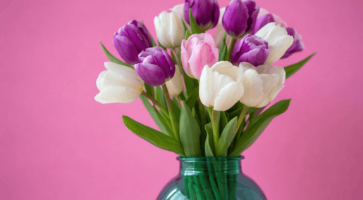 Почему тюльпаны быстро вянут в вазе: секрет, о котором знают флористы. Фото.
