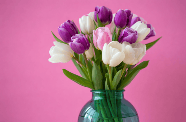 Почему тюльпаны быстро вянут в вазе: секрет, о котором знают флористы. Фото.