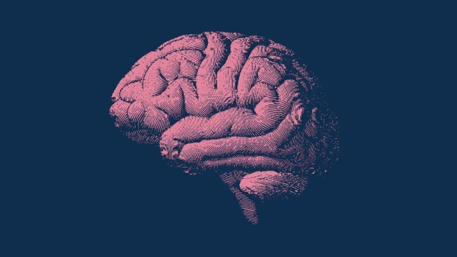 Что нужно есть, чтобы замедлить старение мозга на 2,5 года? Фото.