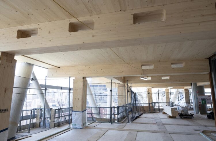 Чем деревянные небоскребы лучше обычных. Деревянные небоскребы меньше вредят природе. Источник изображения: newatlas.com. Фото.