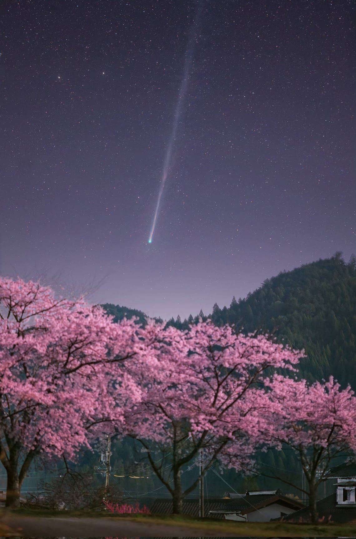 Комета C/2025 R3 (PanSTARRS) 9 апреля 2026 года, Япония. Источник изображения: starwalk.space. Фото.