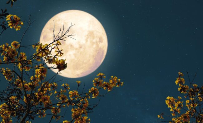 Два полнолуния в мае 2026: почему второе называют голубым. Фото.