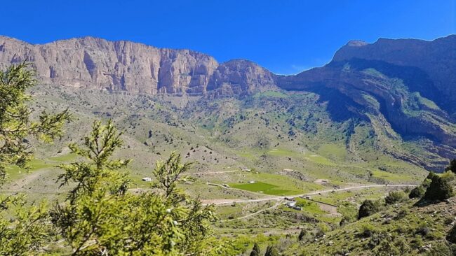 В Узбекистане найден город возрастом 3000 лет на легендарном Шелковом пути. Фото.