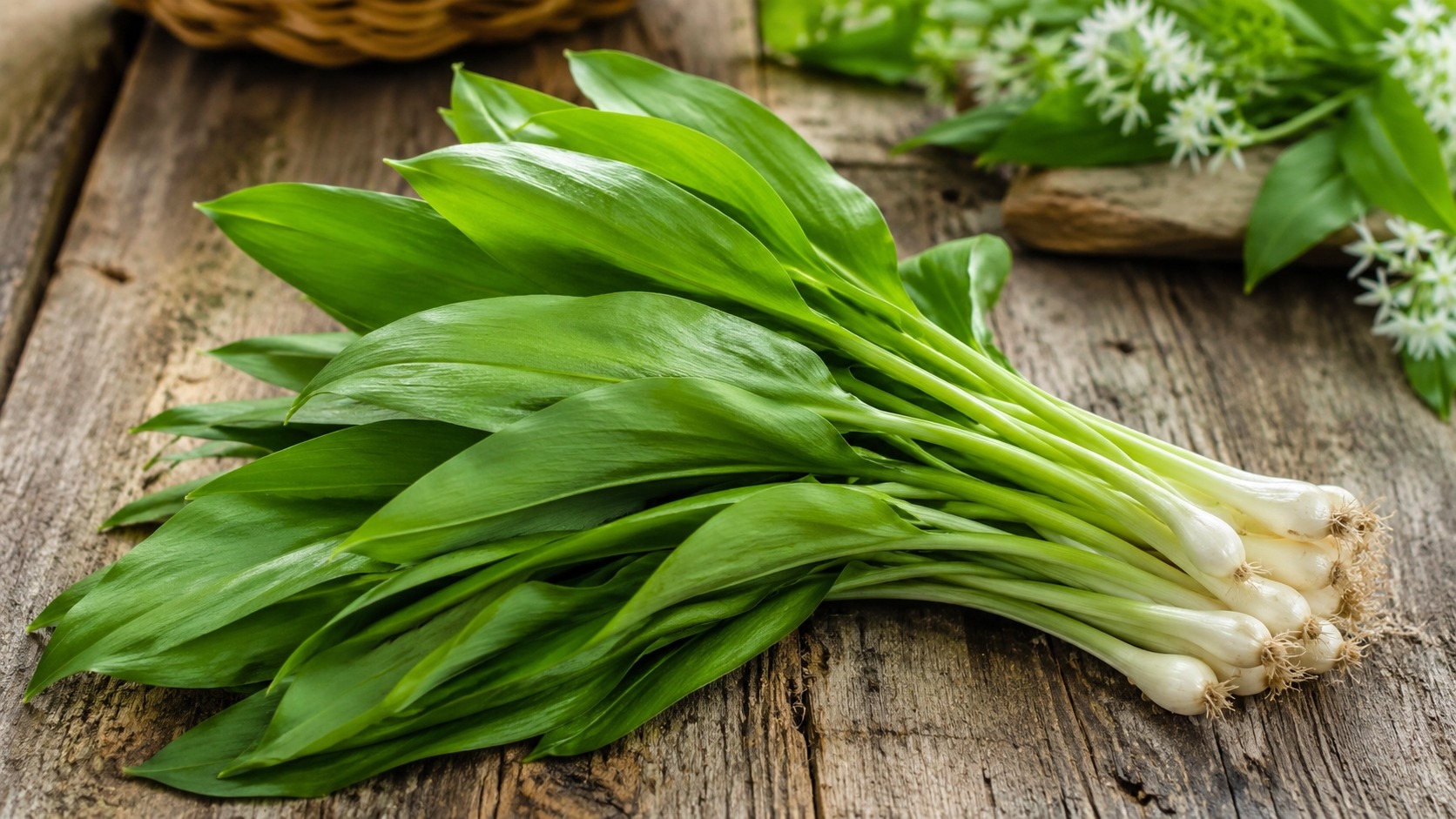 Черемша ценится за свой чесночный аромат и вкус с лёгкой кислинкой. Фото.