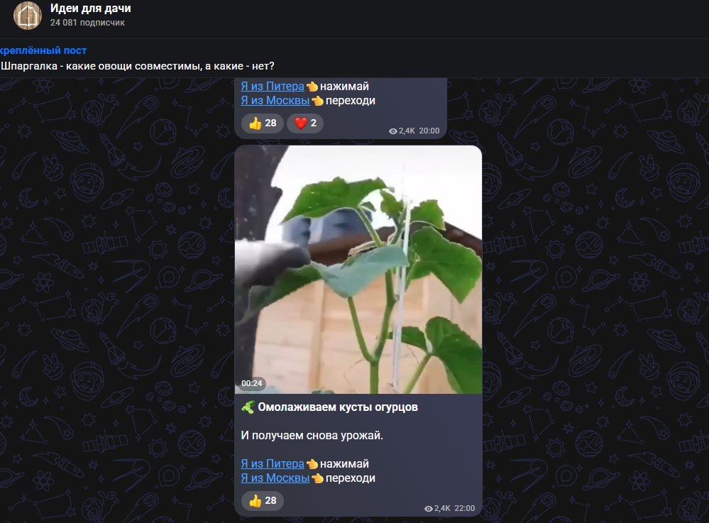 Посты из канала Идеи для дачи. Фото.