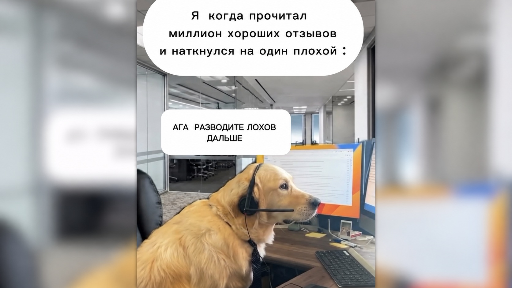 Мем про отзывы на маркетплейсах