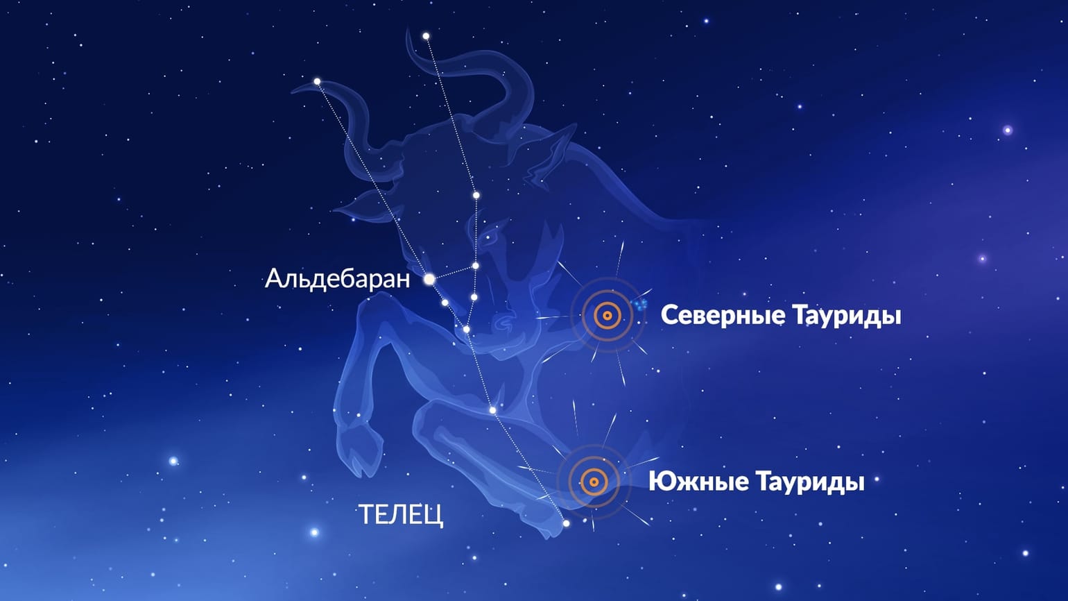 Радиант Южных Таурид расположен западнее и немного южнее Альдебарана. Источник изображения: starwalk.space